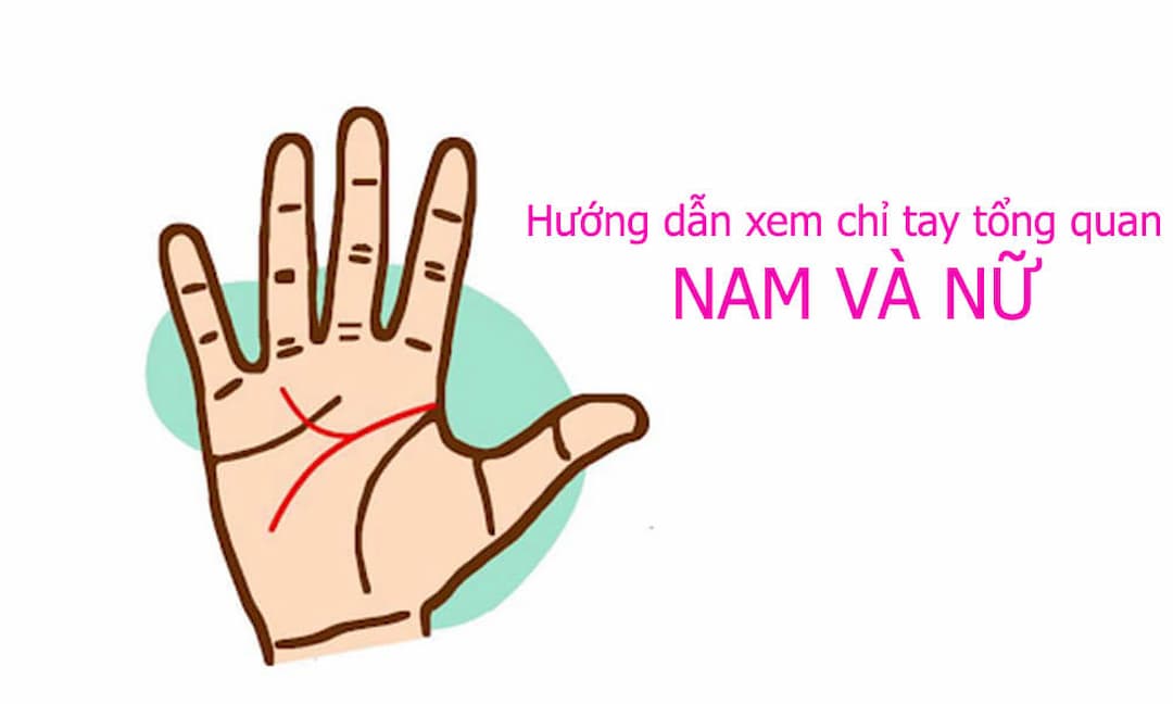 Bàn tay nữ với các đường chỉ tay rõ nét