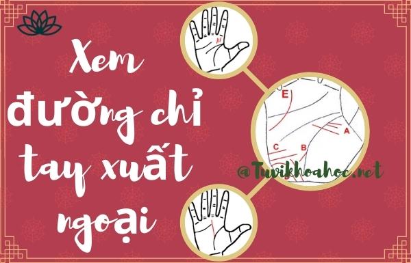 Đường chỉ tay dự báo xuất ngoại