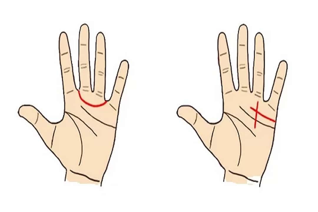 Đường sinh đạo trên chỉ tay