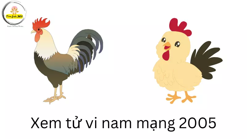 Chiêm tinh Vệ Đà cho người sinh ngày 4