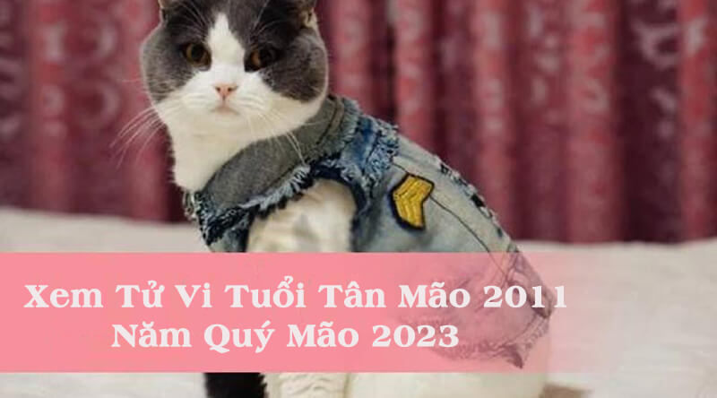 Tử vi tuổi Tân Mão 2011 năm 2023