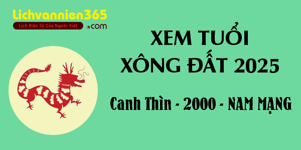 Chiêm tinh Vệ Đà cho người sinh ngày 20