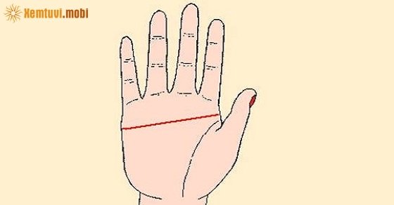Bàn tay nam nữ với chỉ tay chữ nhất