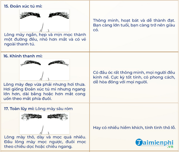 Khám phá tướng lông mày thưa