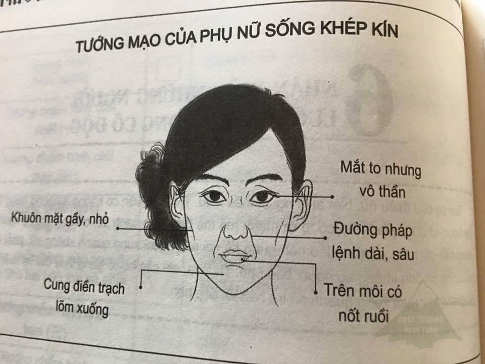 Ảnh phân tích tướng mặt phụ nữ