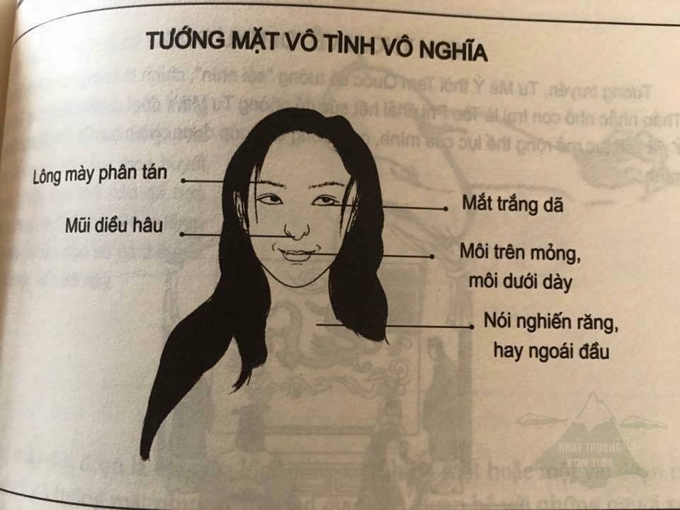 Hình minh họa xem tướng mặt phụ nữ