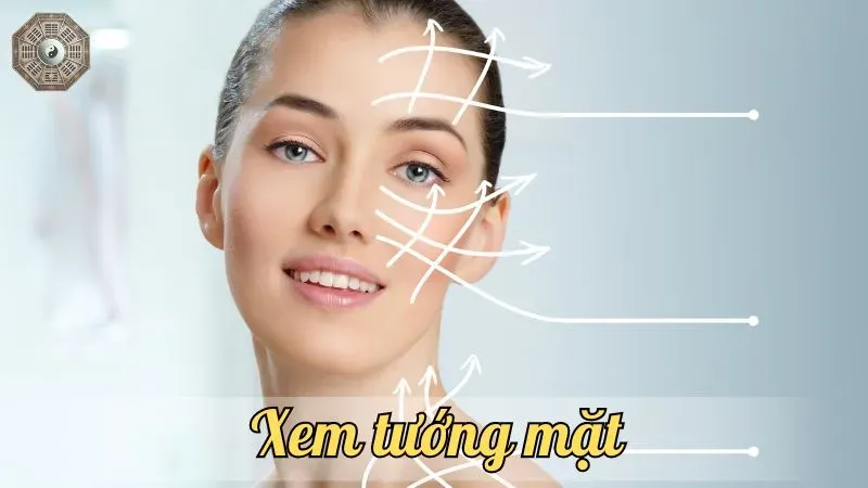 Phân tích khuôn mặt dự đoán nghề nghiệp