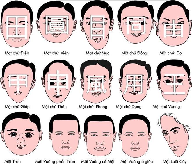 Hình minh họa khuôn mặt và tướng mắt