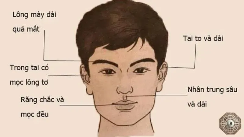 Nét mặt và đường công danh qua tướng số