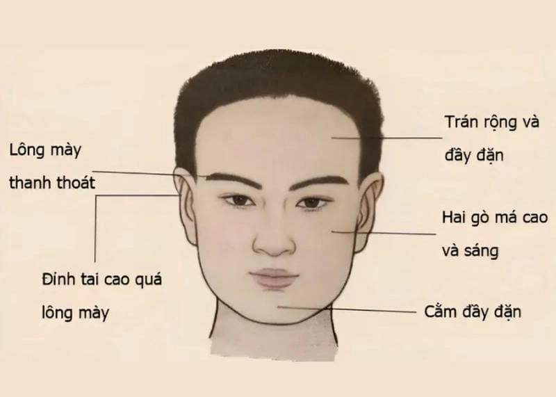 Nhân tướng học khuôn mặt thông minh