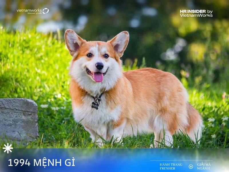 Tính tuổi người sinh năm 1930 vào năm 2026