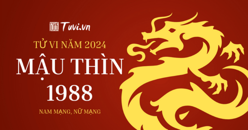 Tổng quan tử vi nữ 1988 năm 2022