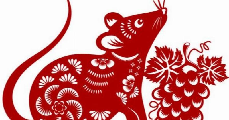 Tử vi tuổi Tý 1984 năm 2022 nam mạng: Luận giải chi tiết từ A–Z