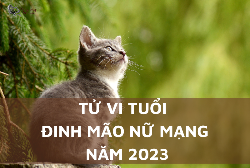 Tử vi tuổi Mão 1987 năm 2023 nữ mạng: Luận giải chi tiết vận hạn – tài lộc – tình duyên