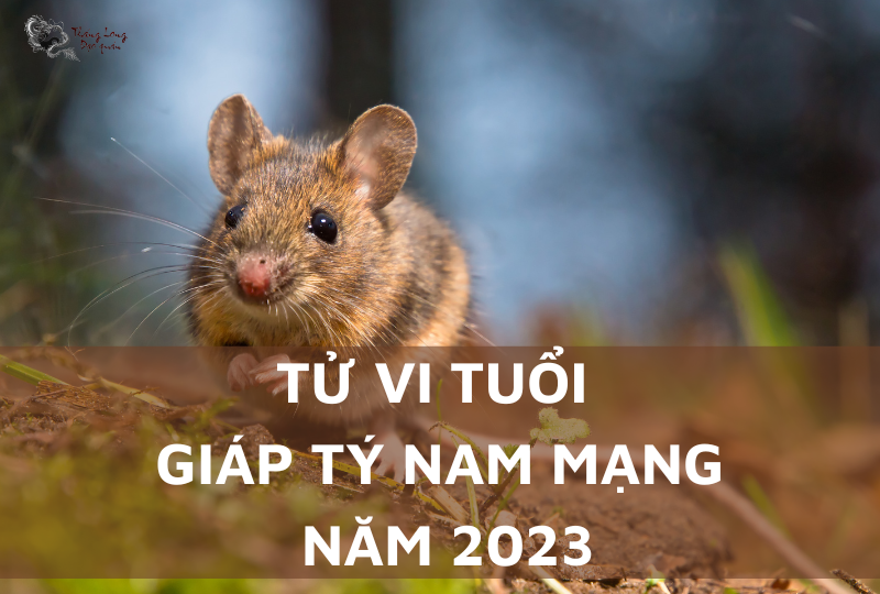 Tử vi tuổi Giáp Tý năm 2023 nam mạng: Luận giải vận hạn – tài lộc – sự nghiệp chi tiết