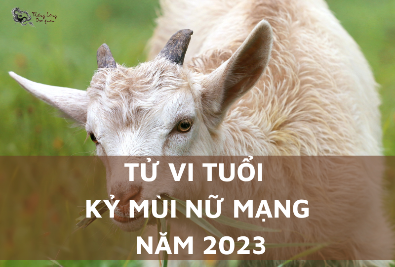 hạn tuổi kỷ mùi