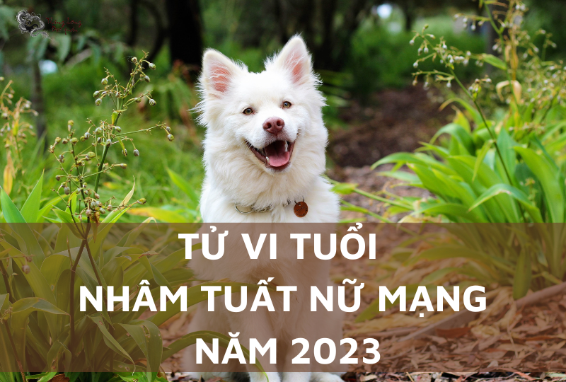 Tử vi tuổi Nhâm Tuất năm 2023 nữ mạng: Dự đoán vận trình chuẩn xác & chi tiết nhất